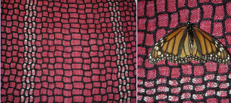 Scarf with Monarch Butterfly